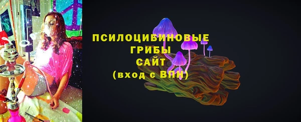 ПСИЛОЦИБИНОВЫЕ ГРИБЫ Белоозёрский