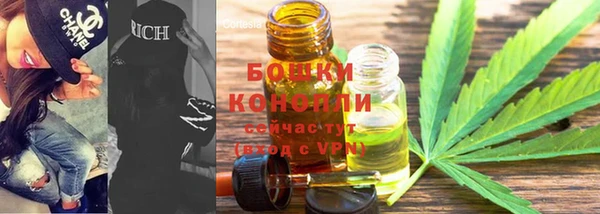 ПСИЛОЦИБИНОВЫЕ ГРИБЫ Белоозёрский