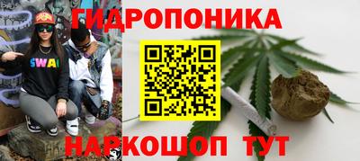 герыч Дубна