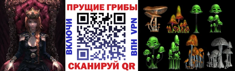 Галлюциногенные грибы Psilocybine cubensis  где найти   Обь 