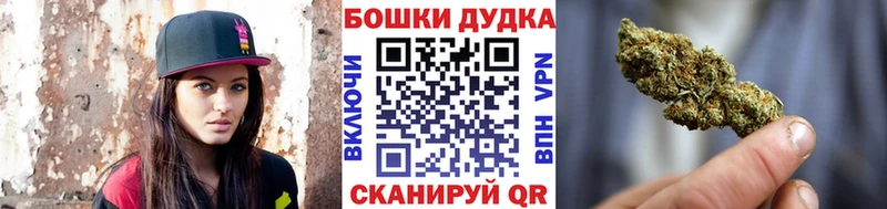 Шишки марихуана SATIVA & INDICA  сколько стоит  OMG ссылка  Обь 